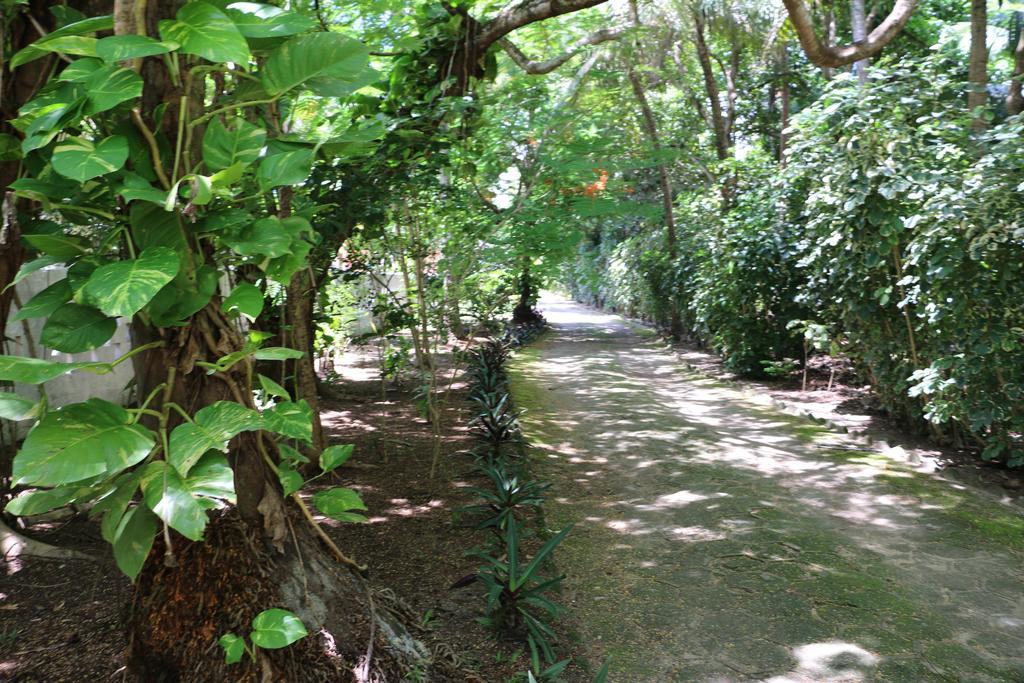 Pousada Ponta De Mangue Maragogi Exteriér fotografie